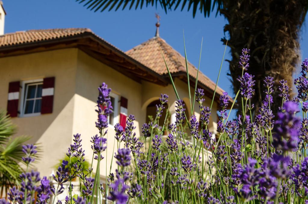Leuchtenhof Caldaro sulla Strada del Vino Exterior foto